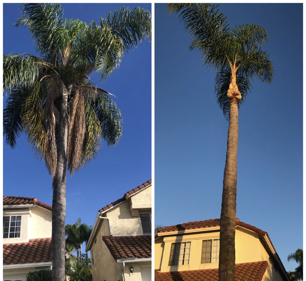 Photo of Los Agaves Landscaping