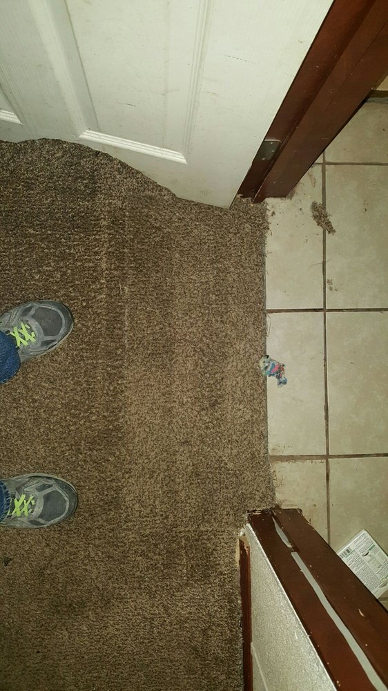 Photo of Extreme Total Cleaning Services