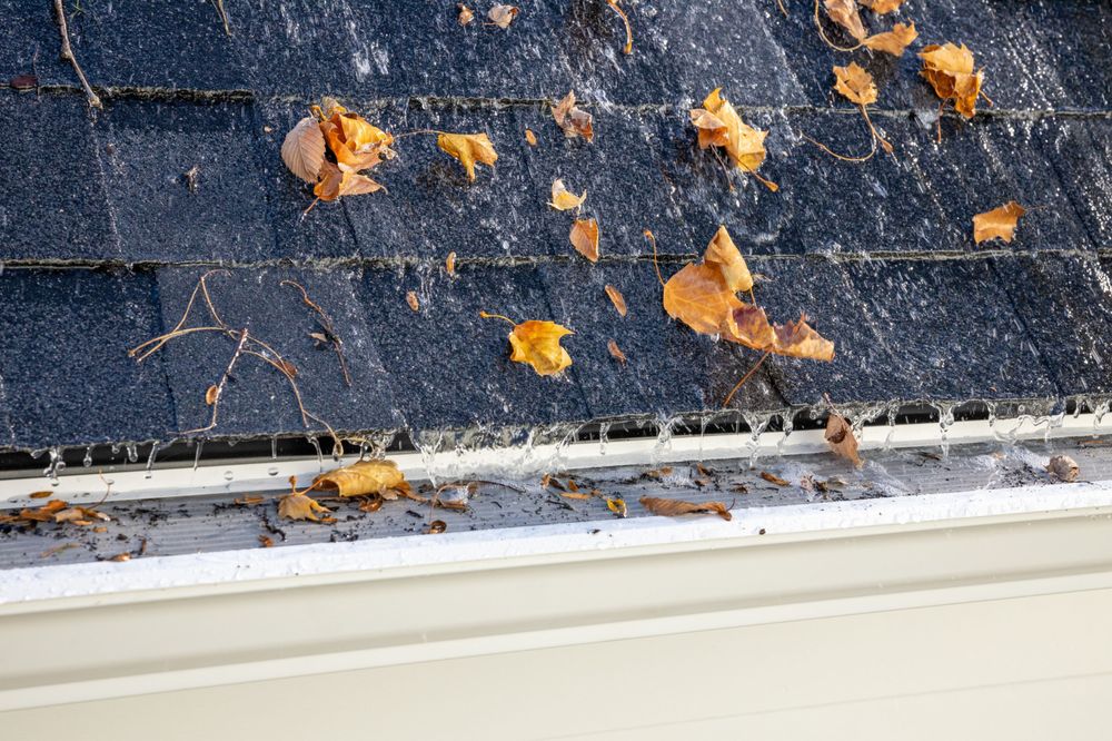 Photo of LeafFilter Gutter Protection