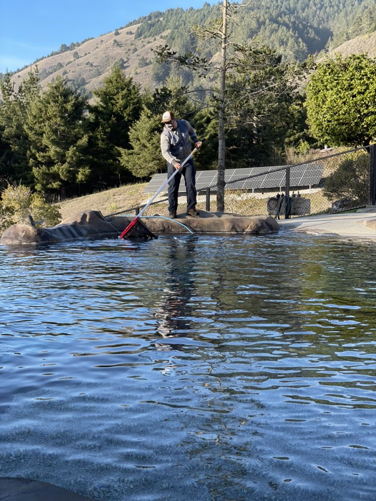 Photo of Deleon Pool Service