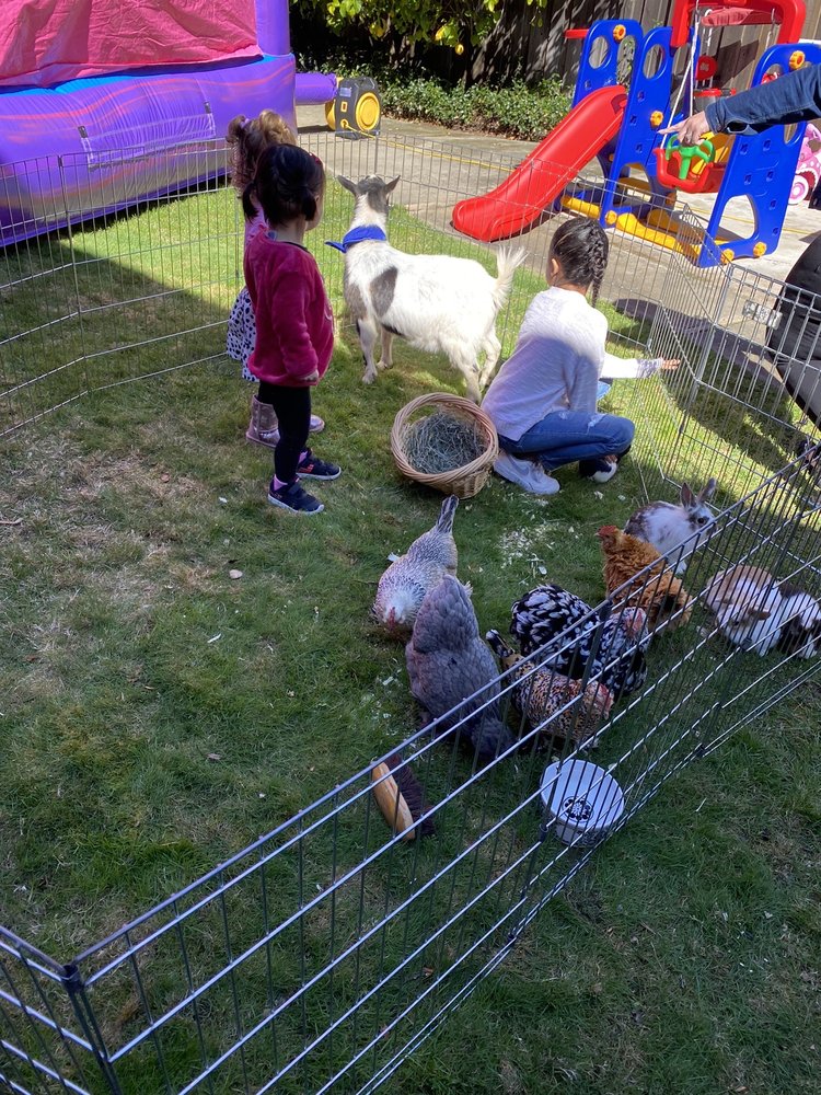 Photo of Once Upon a Pony & Petting Zoo