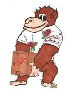 Photo of Gorilla Rose