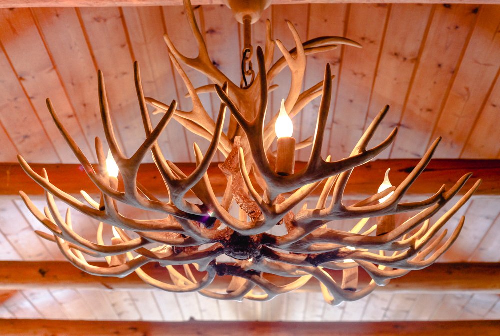 Photo of Ranchstead Inn