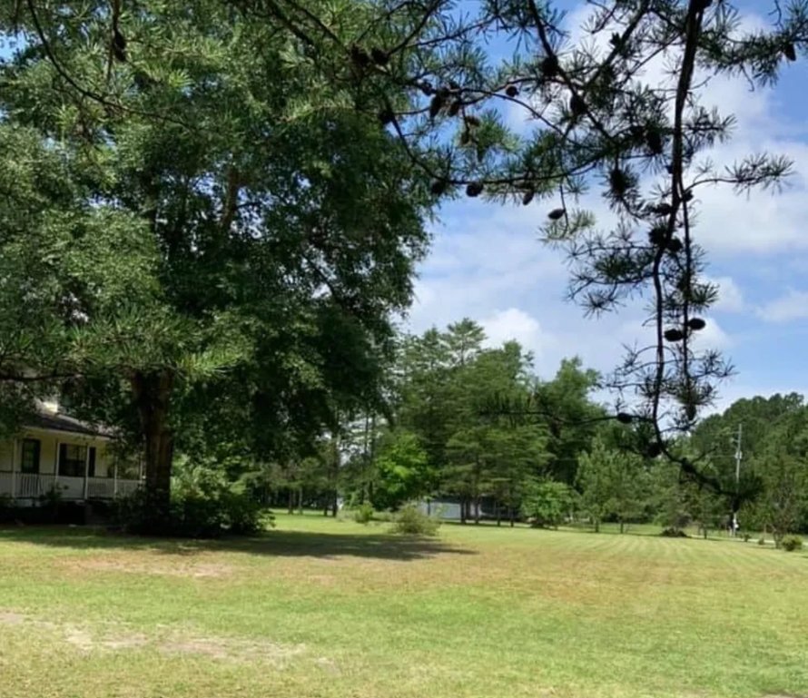 Photo of Causey's Lawn Care & Irrigation