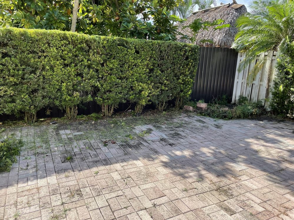 Photo of Elite LawnCare Service