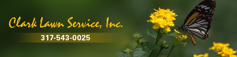 Photo of Clark Lawn Service