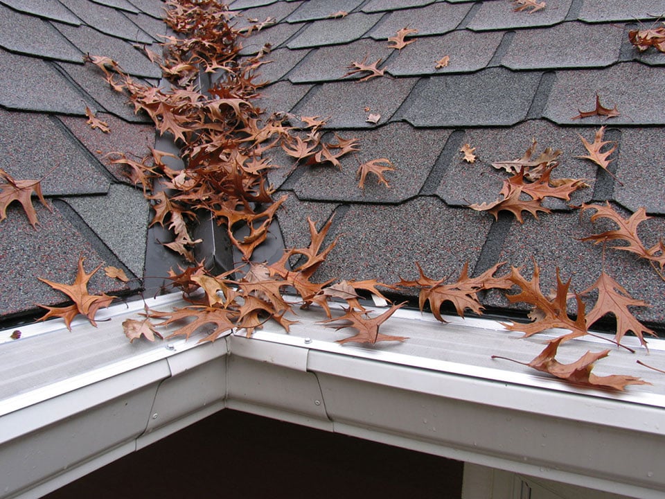 Photo of Springrock Gutters