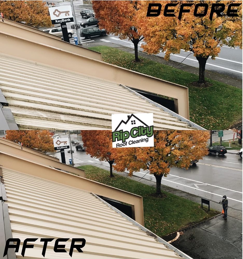 Photo of Rip City Roof Cleaning