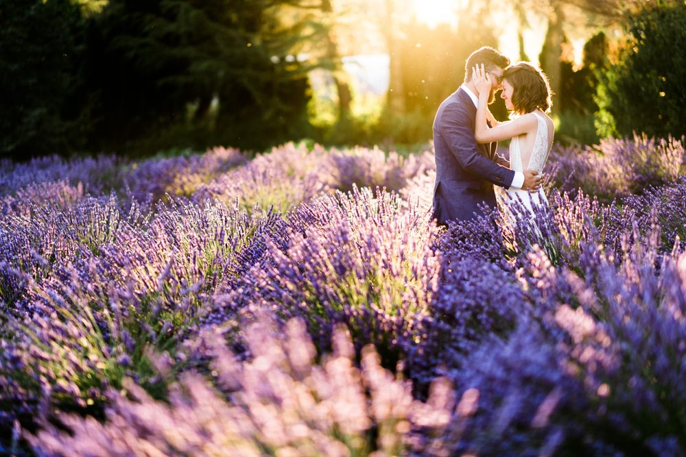 Photo of Woodinville Lavender