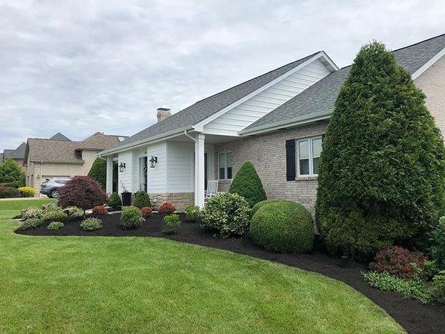 Photo of Q&A Landscaping