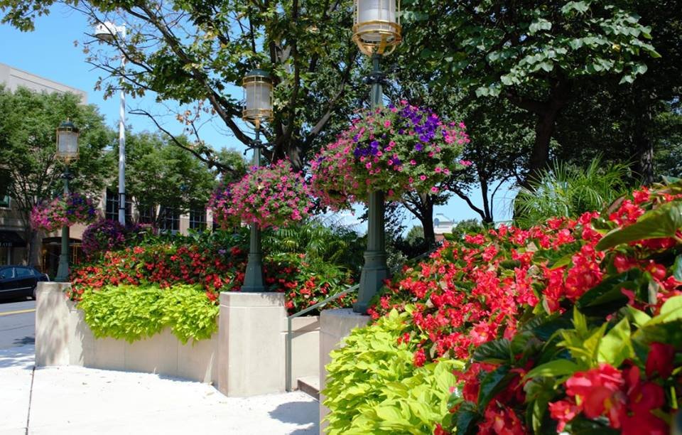 Photo of Poole Landscaping
