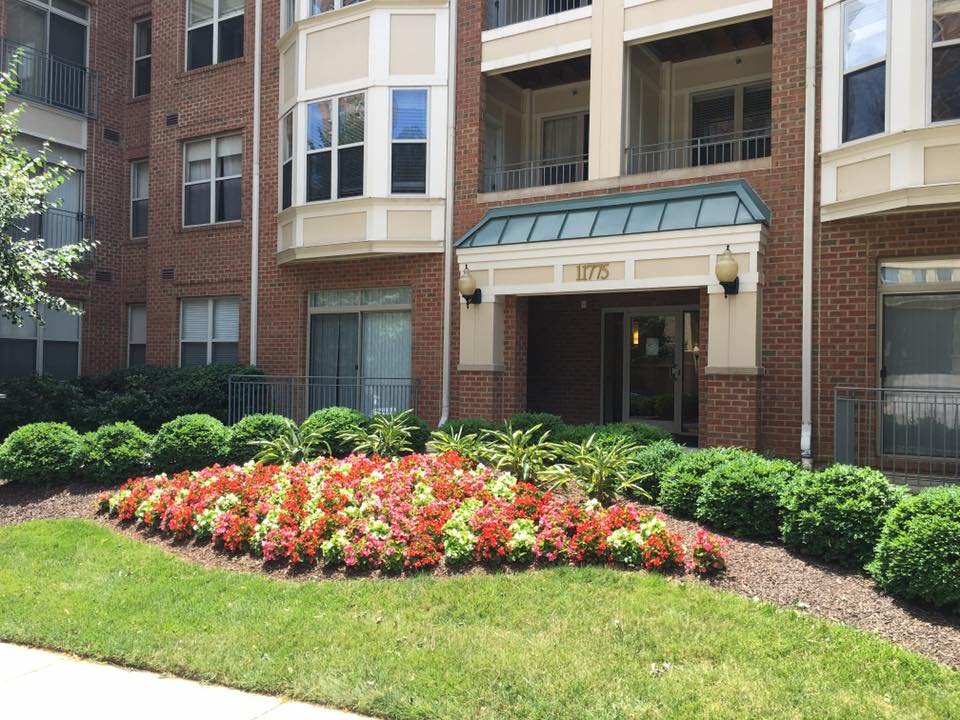 Photo of Poole Landscaping