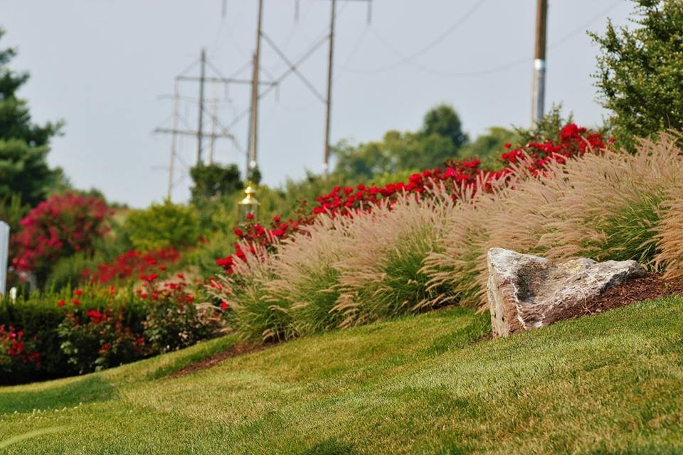 Photo of Poole Landscaping