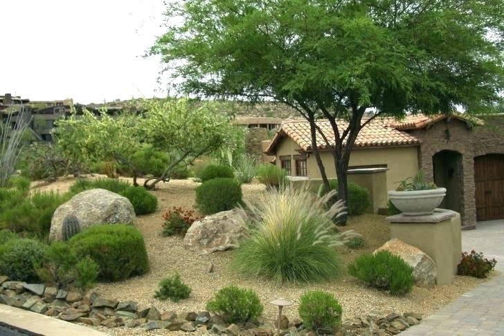 Photo of El Paso Landscapers