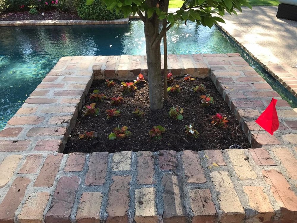 Photo of Ordaz Lawn & Landscaping Service