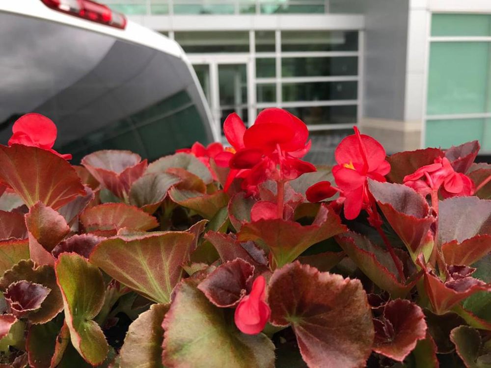 Photo of Ordaz Lawn & Landscaping Service