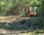 Photo of A-1 Hauling Clean-Up & Bobcat Service
