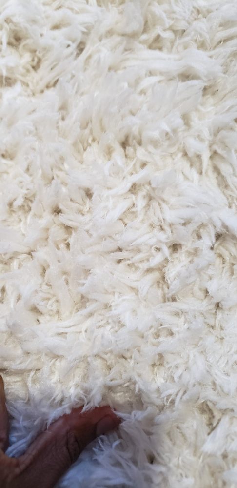 Photo of South Boston Carpet Cleaning