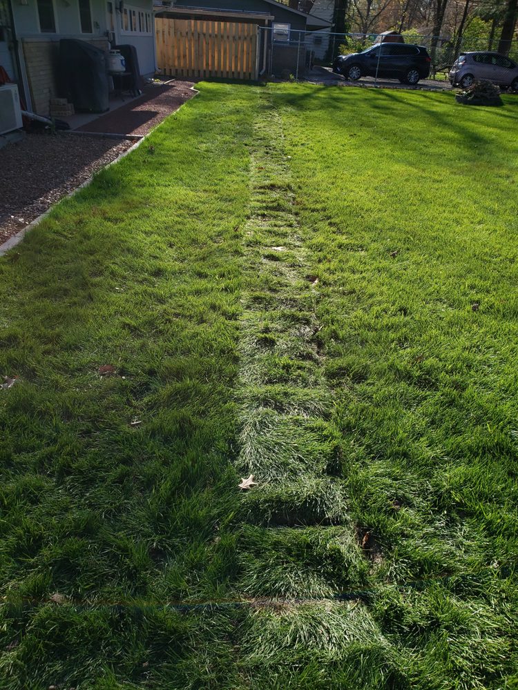 Photo of Waterproofing Solutions