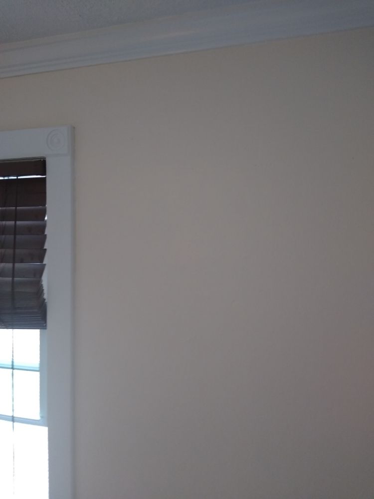 Photo of Duke Brother Painting