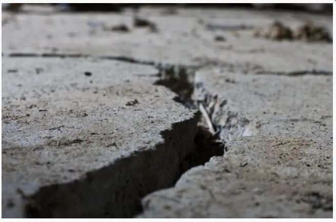 Photo of Longhorns Foundation Solutions