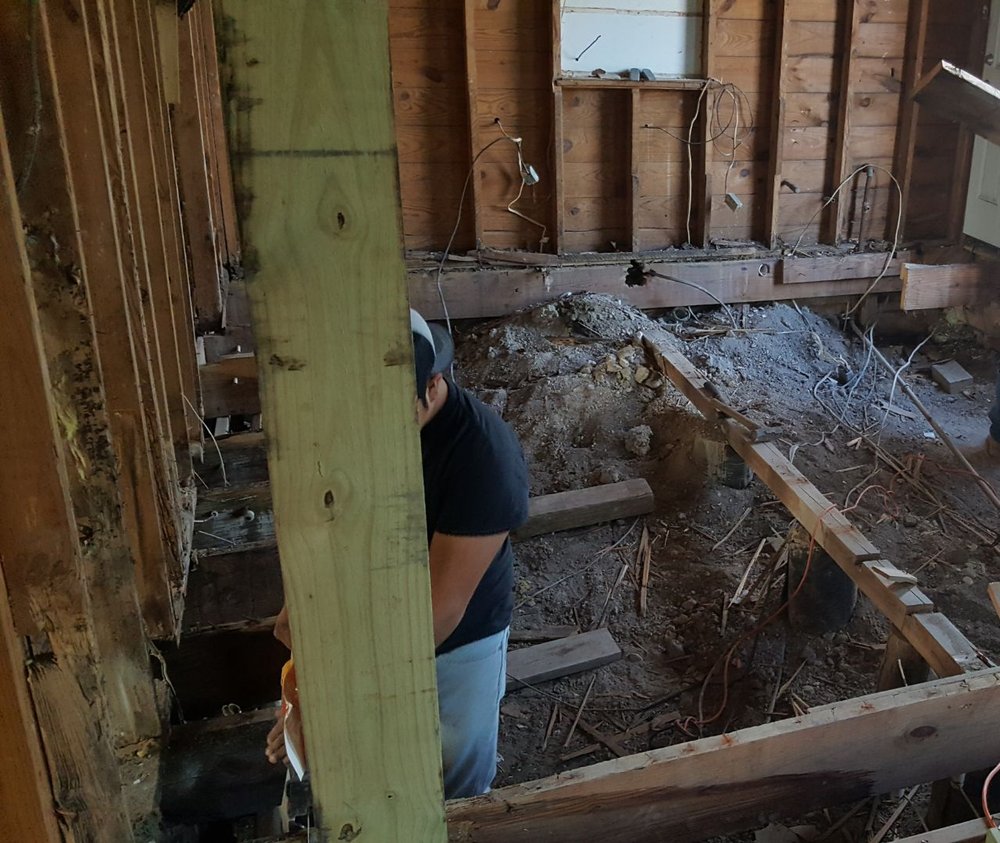 Photo of Longhorns Foundation Solutions