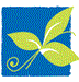 Photo of Mimosa Digital