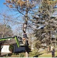 Photo of Bakkelund Tree & Landscape Service