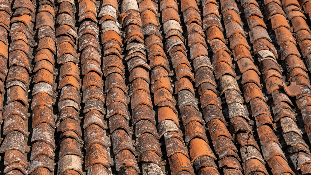 Photo of SOS House Services