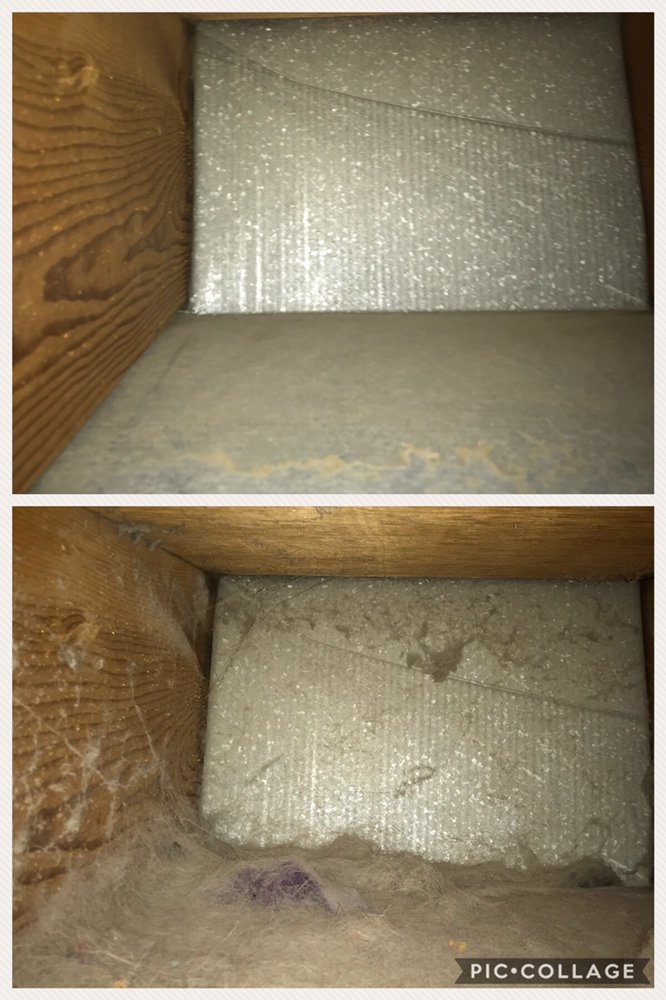 Photo of Friendly Cleaning Services
