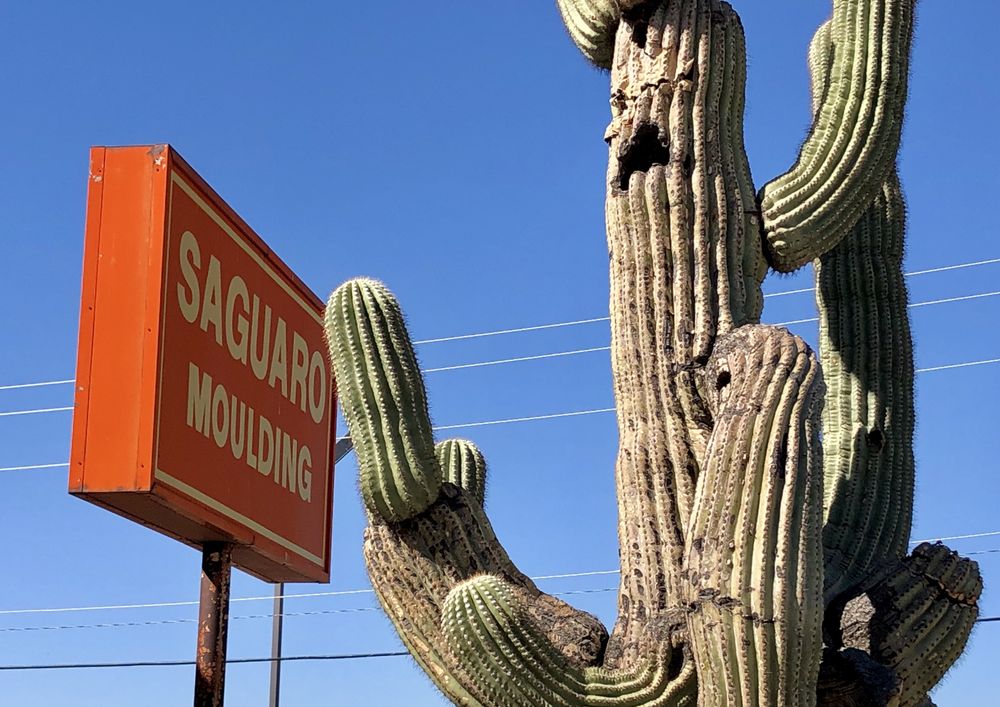 Photo of Saguaro Moulding