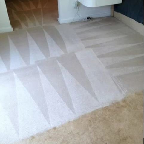 Photo of Lombardi Carpet Cleaning