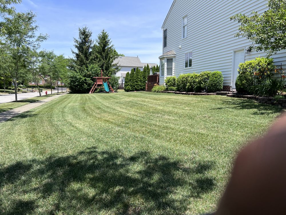 Photo of Magañas Landscaping