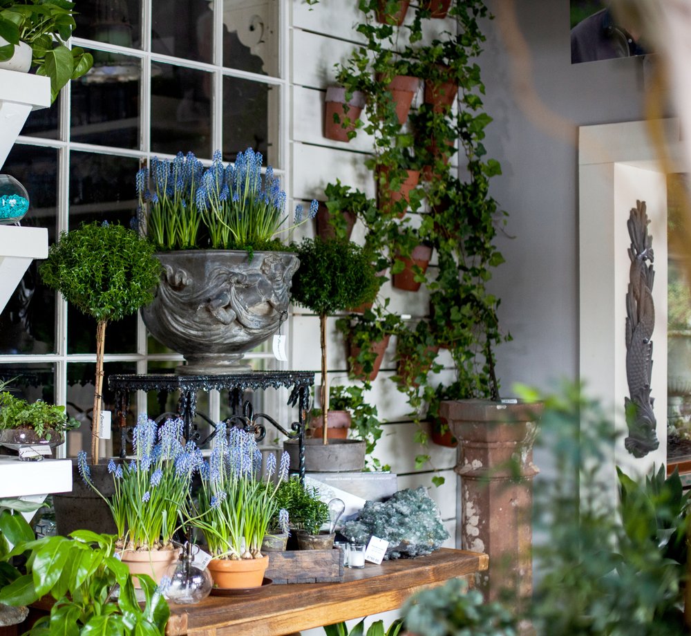 Photo of Fleurdetroit