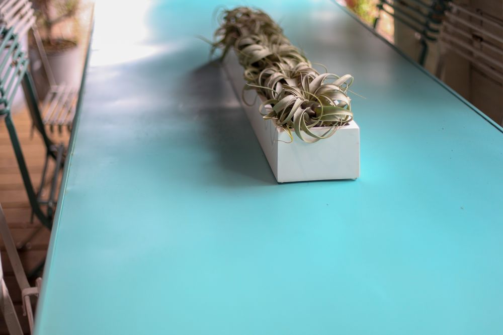 Photo of Fleurdetroit