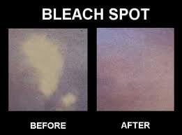 Photo of Happy Carpet Cleaning