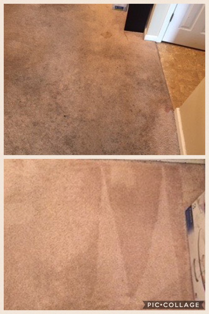 Photo of Spotlight Janitorial