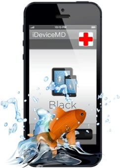 Photo of iDeviceMD iPhone, iPad, iPod Repair