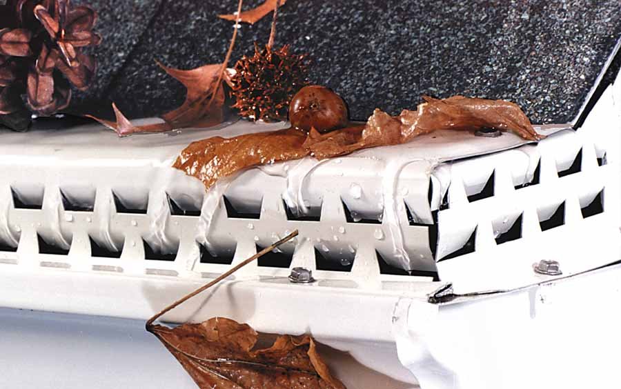 Photo of Beyond Gutters