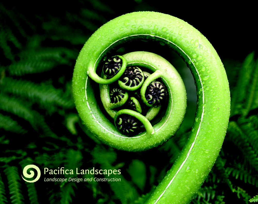 Photo of Pacifica Landscapes