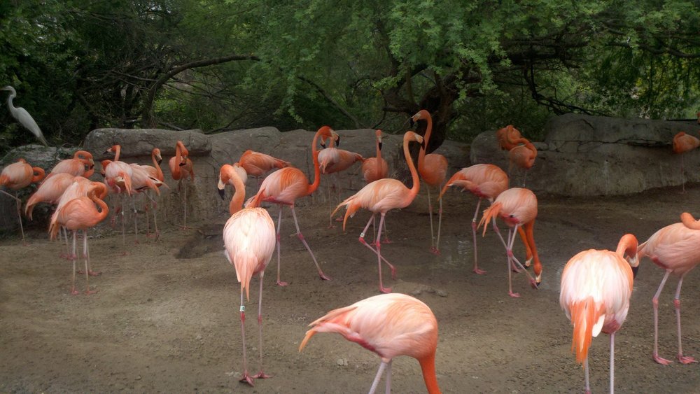 Photo of The Pinkston Group