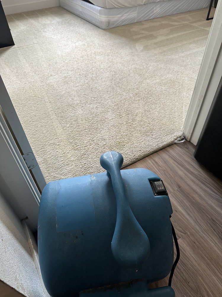 Photo of Bello Express Carpet Care