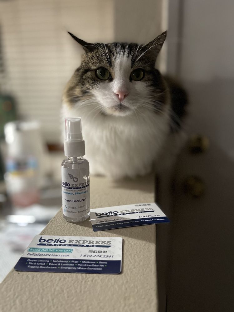 Photo of Bello Express Carpet Care