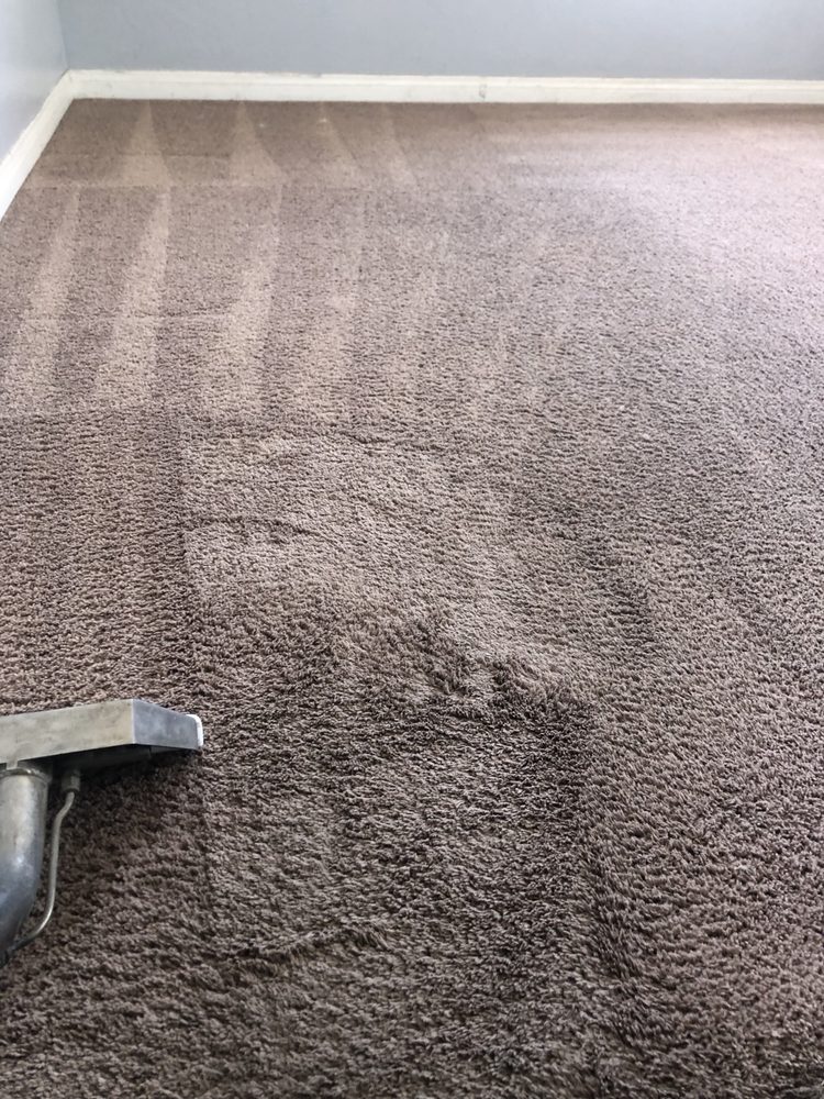 Photo of Bello Express Carpet Care