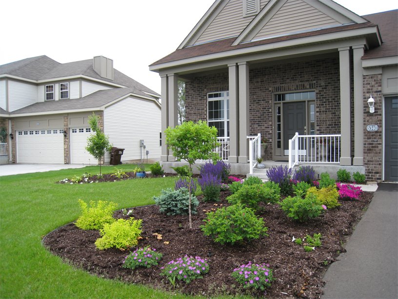 Photo of Leslie's Garden