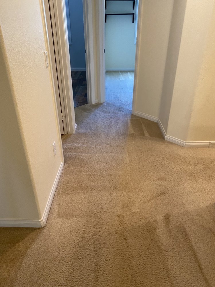 Photo of Extreme Carpet Care