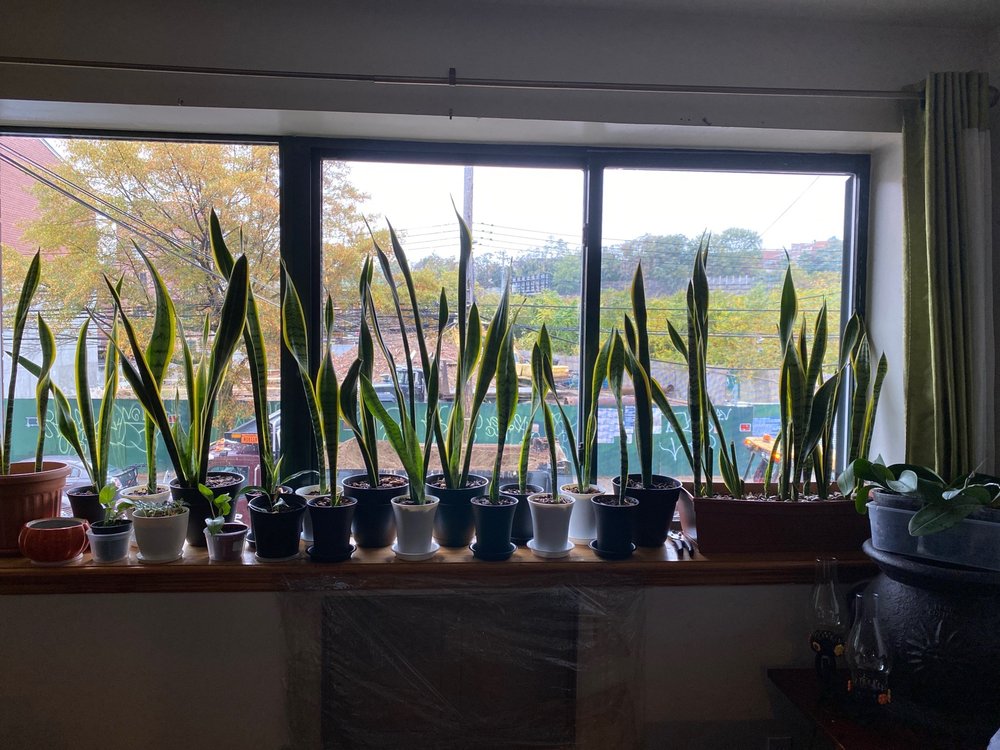 Photo of Empire Window Cleaning