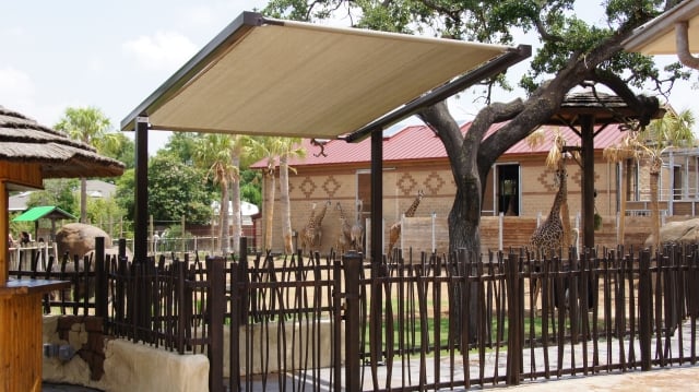 Photo of Southern Shade Structures