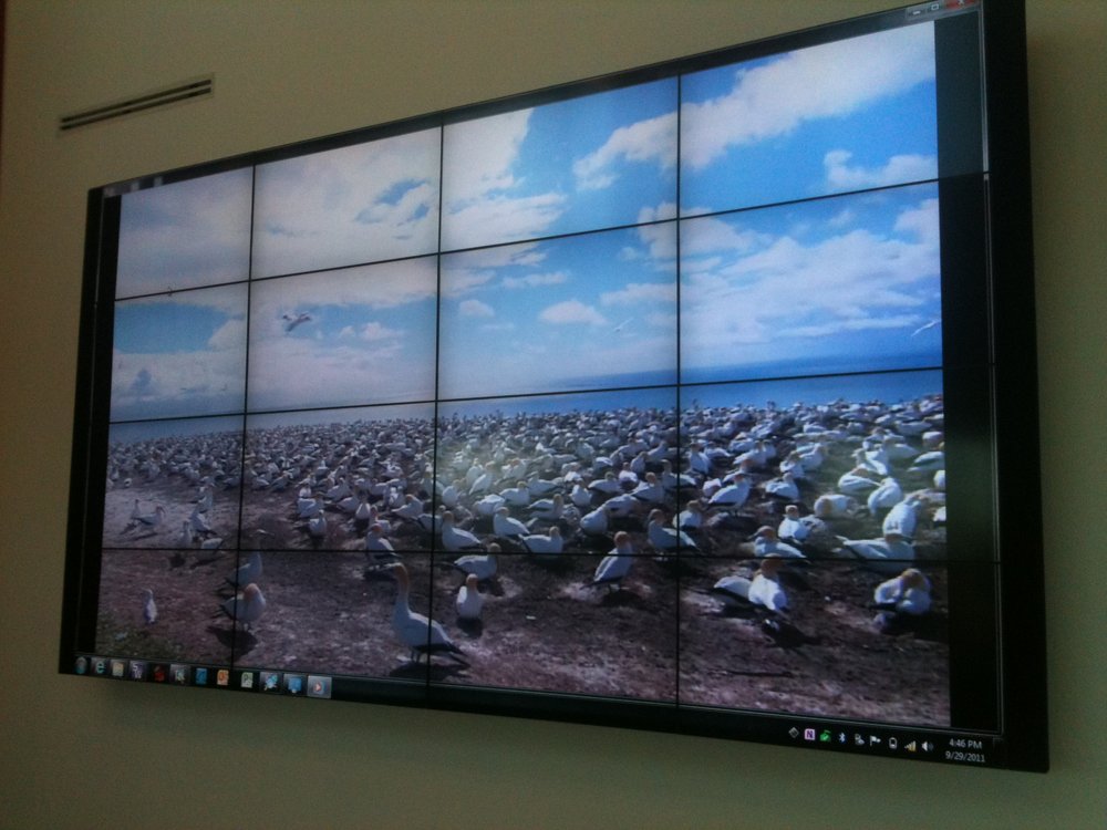Photo of Audio Advantage