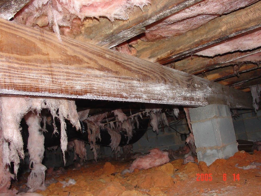 Photo of Fresh Air Technologies